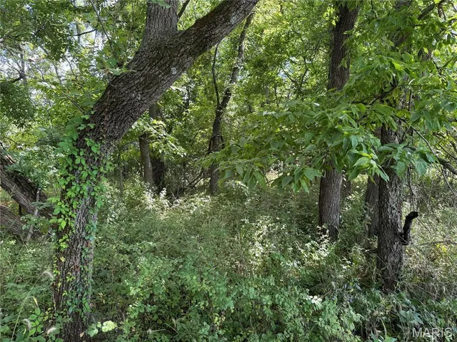 $630,000 | 0 Northeast Ne Corner, Sweet Springs, MO 65351