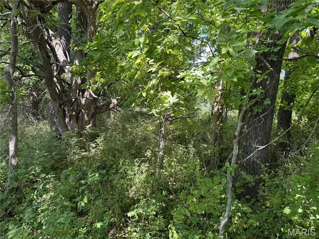 $630,000 | 0 Northeast Ne Corner, Sweet Springs, MO 65351