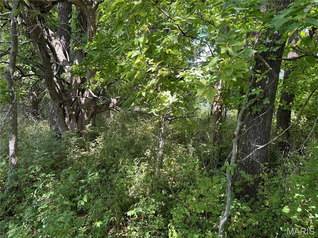 0 Northeast Ne Corner Sweet Springs, MO 65351 - Photo 13 of 97