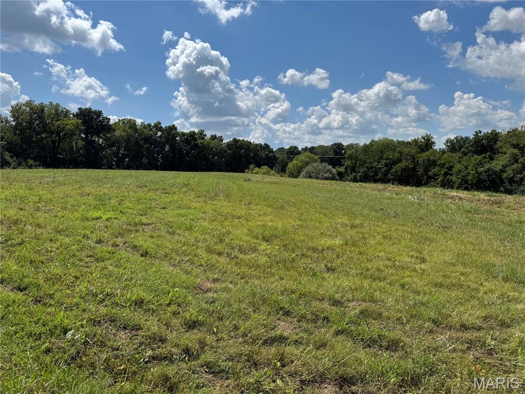 0 Northeast Ne Corner Sweet Springs, MO 65351 - Photo 14 of 97