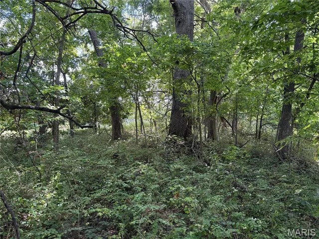 $630,000 | 0 Northeast Ne Corner, Sweet Springs, MO 65351