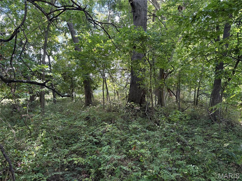 0 Northeast Ne Corner Sweet Springs, MO 65351 - Photo 16 of 97