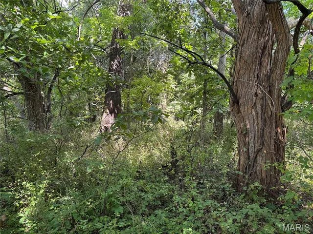 $630,000 | 0 Northeast Ne Corner, Sweet Springs, MO 65351