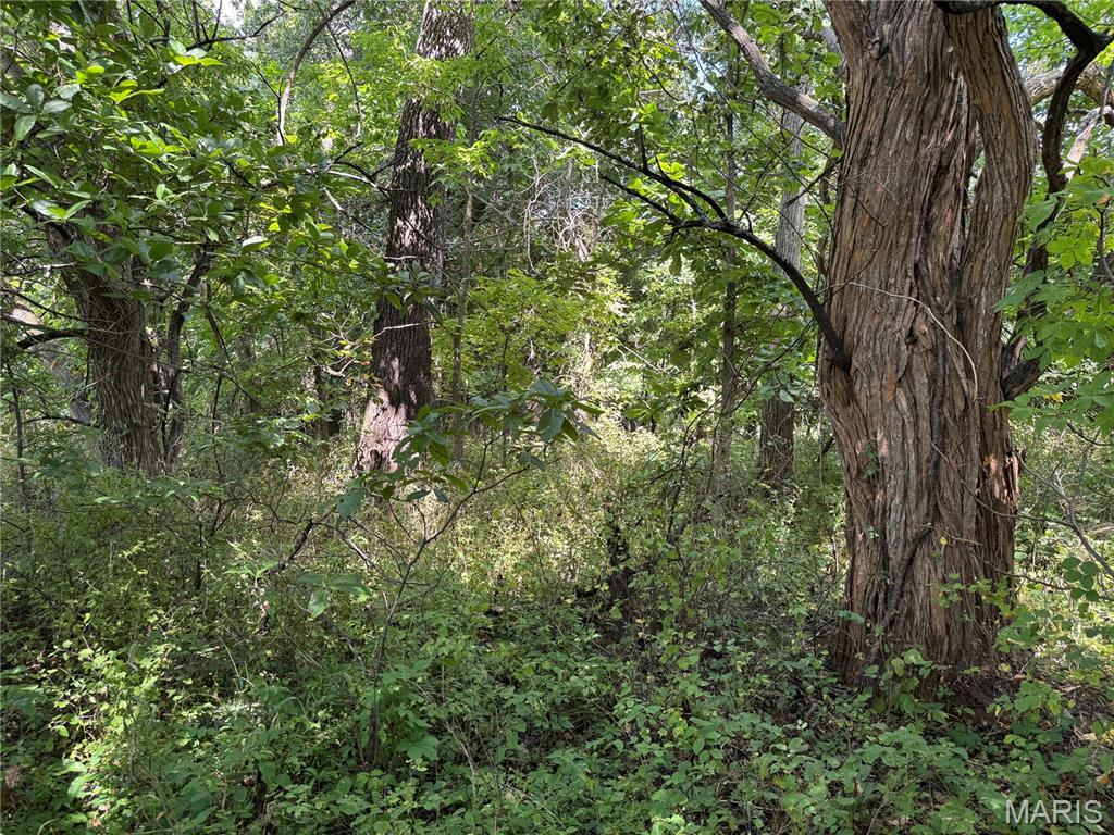 0 Northeast Ne Corner Sweet Springs, MO 65351 - Photo 17 of 97