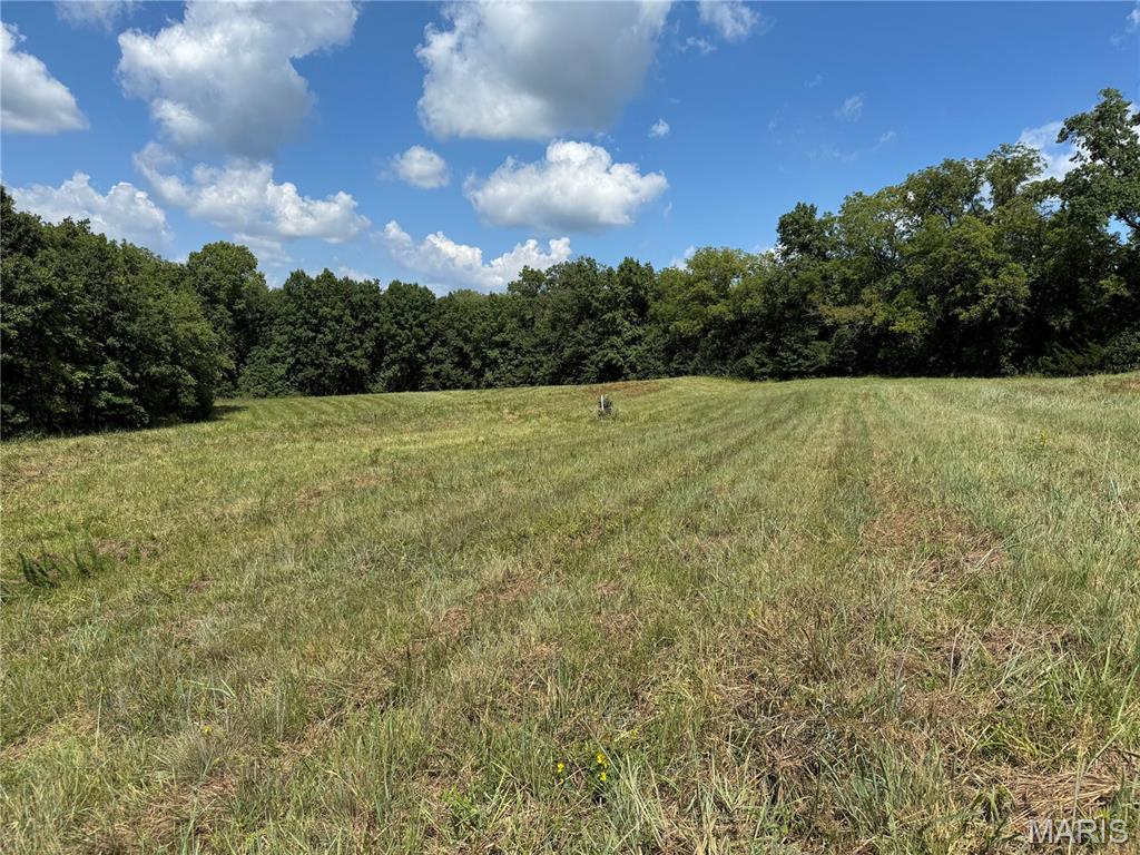 0 Northeast Ne Corner Sweet Springs, MO 65351 - Photo 18 of 97