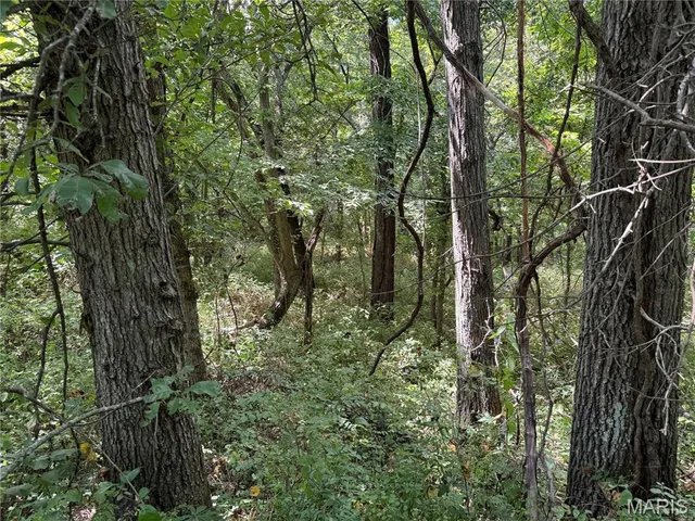 $630,000 | 0 Northeast Ne Corner, Sweet Springs, MO 65351