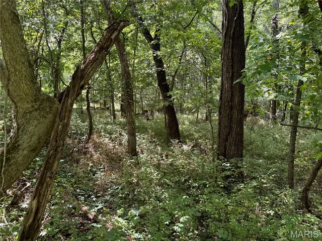 $630,000 | 0 Northeast Ne Corner, Sweet Springs, MO 65351