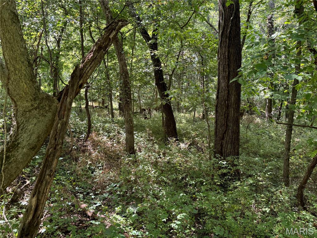 0 Northeast Ne Corner Sweet Springs, MO 65351 - Photo 21 of 97