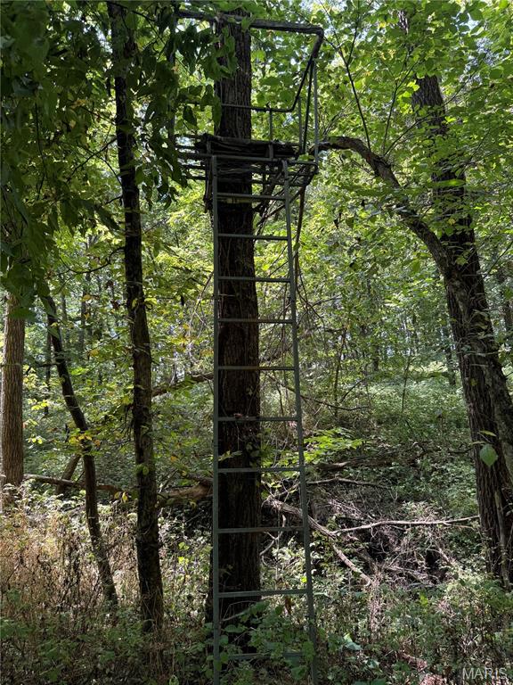 0 Northeast Ne Corner Sweet Springs, MO 65351 - Photo 22 of 97