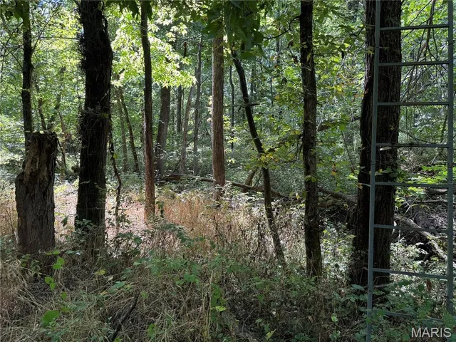 $630,000 | 0 Northeast Ne Corner, Sweet Springs, MO 65351