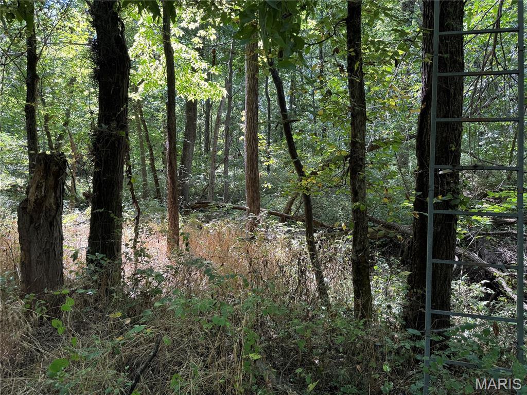 0 Northeast Ne Corner Sweet Springs, MO 65351 - Photo 23 of 97