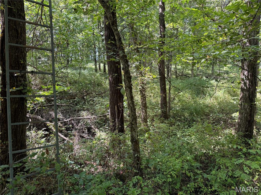 0 Northeast Ne Corner Sweet Springs, MO 65351 - Photo 24 of 97