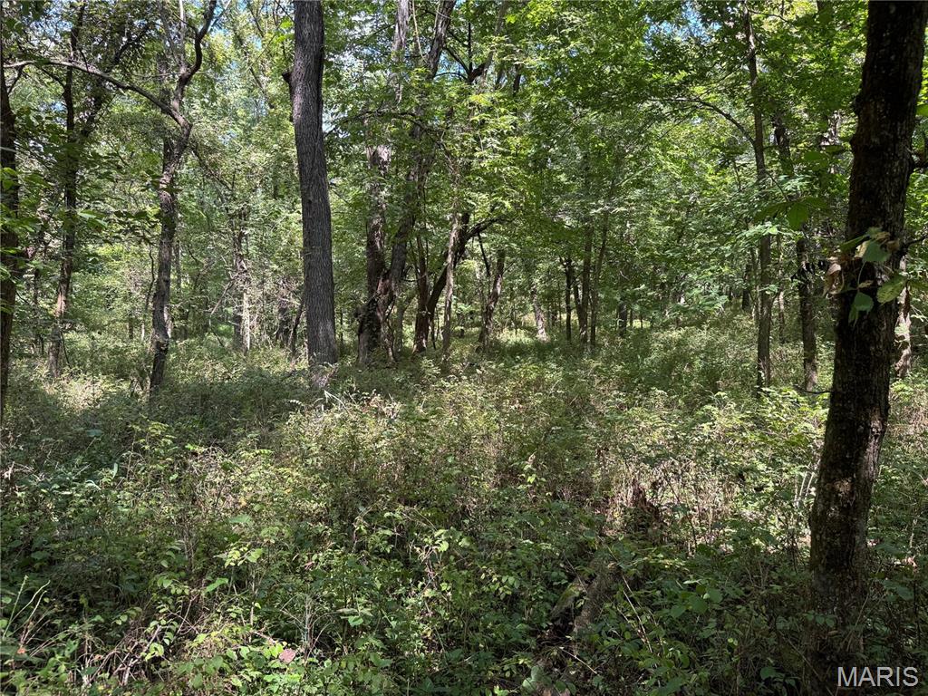 0 Northeast Ne Corner Sweet Springs, MO 65351 - Photo 25 of 97