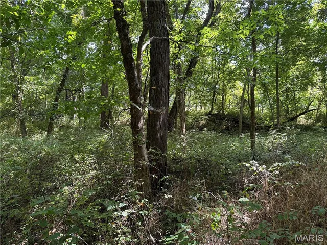 $630,000 | 0 Northeast Ne Corner, Sweet Springs, MO 65351