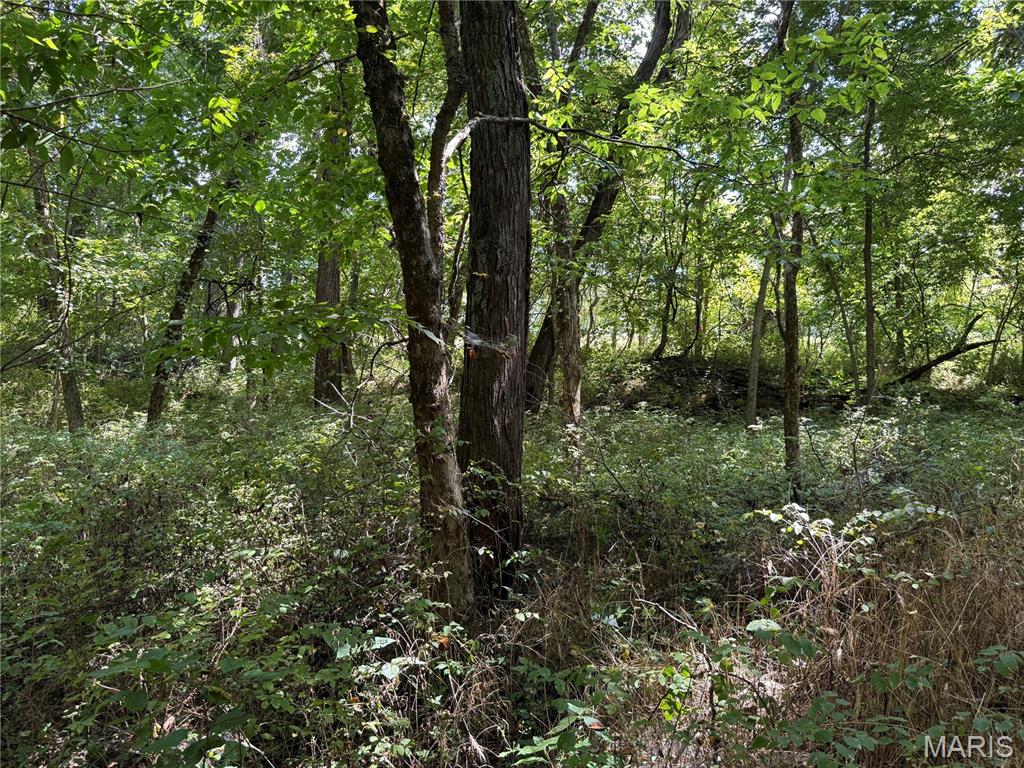 0 Northeast Ne Corner Sweet Springs, MO 65351 - Photo 26 of 97