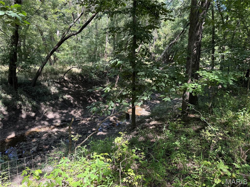 0 Northeast Ne Corner Sweet Springs, MO 65351 - Photo 29 of 97