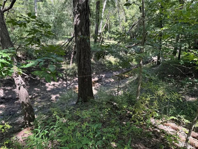 $630,000 | 0 Northeast Ne Corner, Sweet Springs, MO 65351