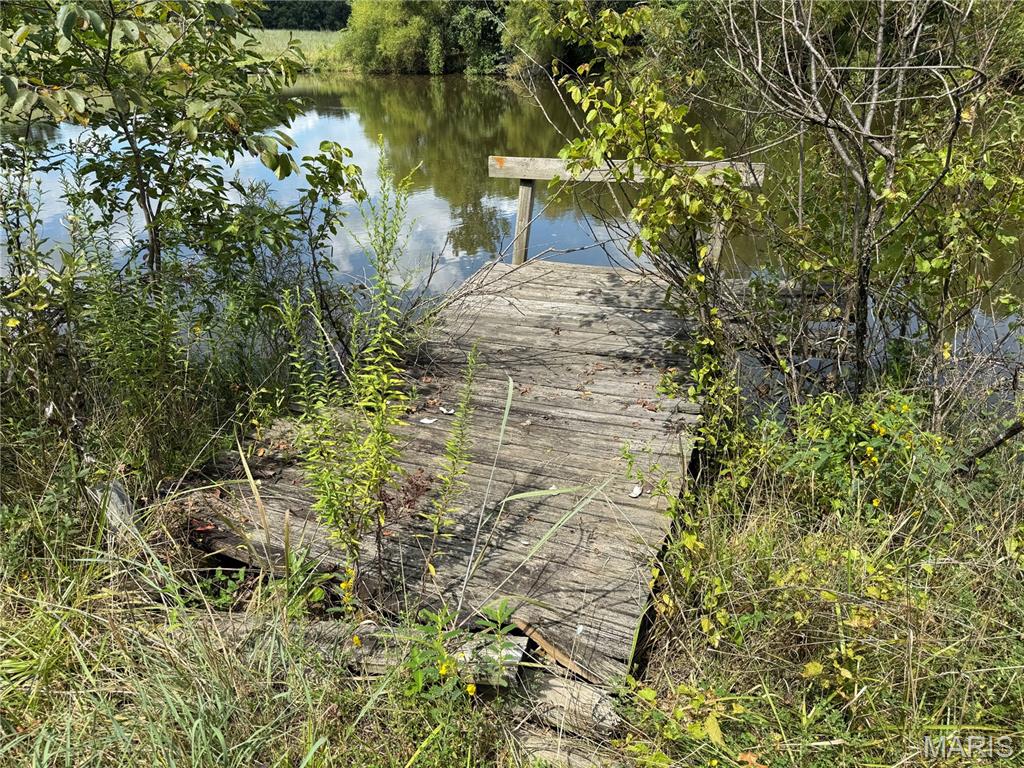 0 Northeast Ne Corner Sweet Springs, MO 65351 - Photo 3 of 97