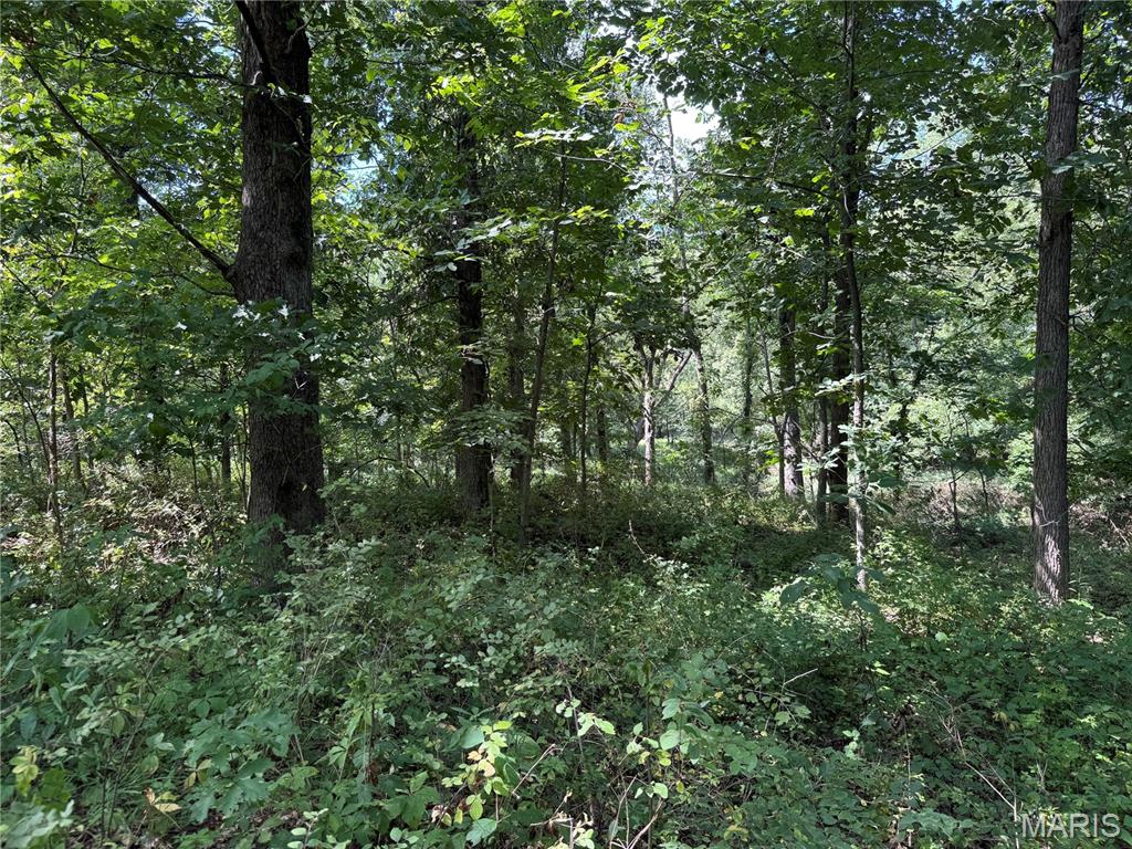 0 Northeast Ne Corner Sweet Springs, MO 65351 - Photo 33 of 97