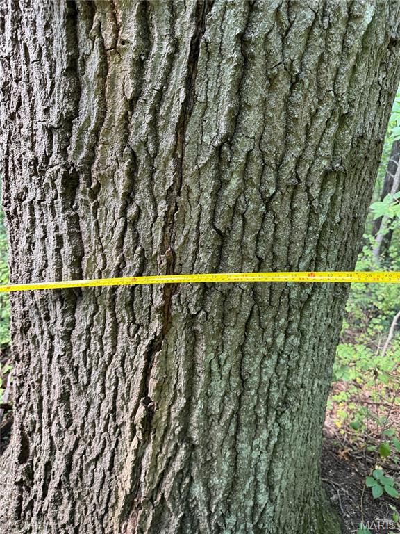 0 Northeast Ne Corner Sweet Springs, MO 65351 - Photo 34 of 97