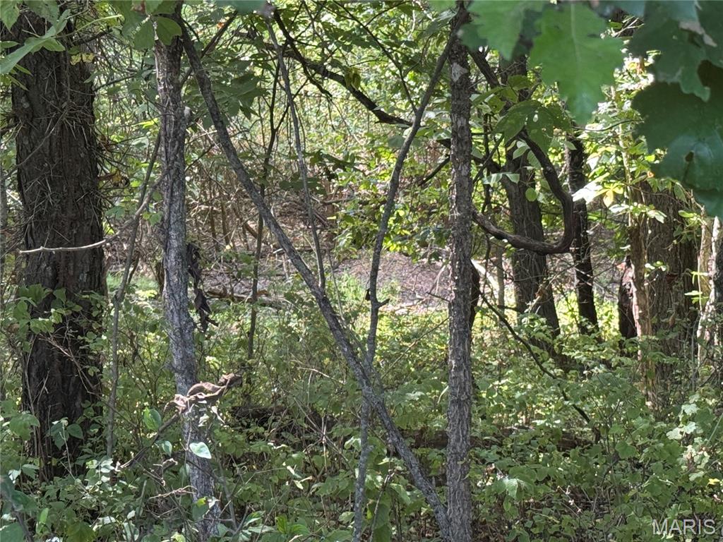 0 Northeast Ne Corner Sweet Springs, MO 65351 - Photo 35 of 97