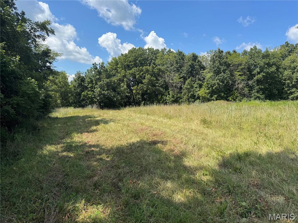 0 Northeast Ne Corner Sweet Springs, MO 65351 - Photo 36 of 97