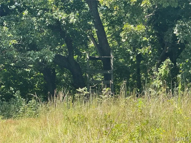 $630,000 | 0 Northeast Ne Corner, Sweet Springs, MO 65351