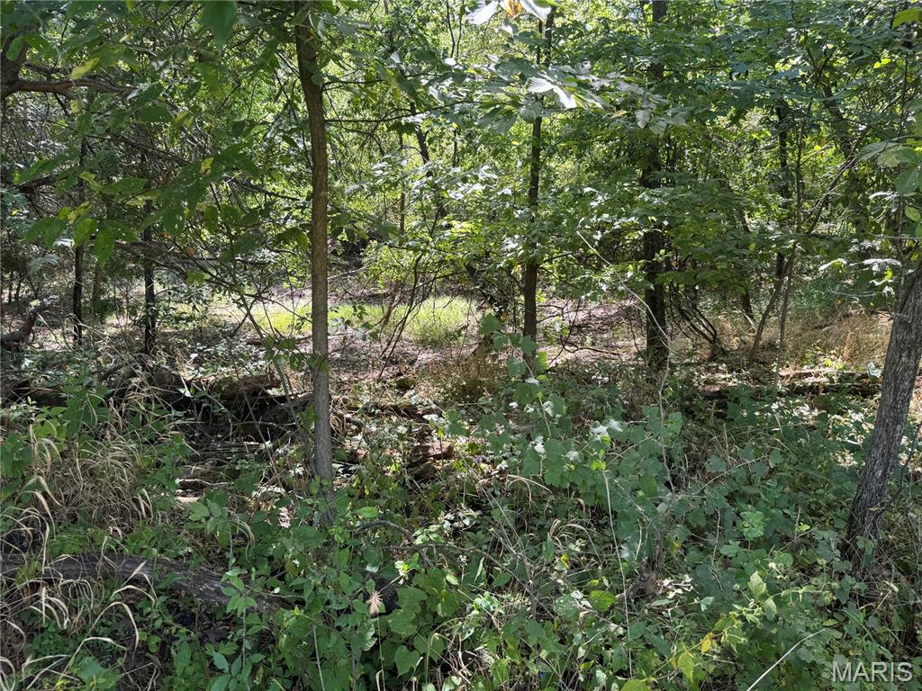 0 Northeast Ne Corner Sweet Springs, MO 65351 - Photo 38 of 97