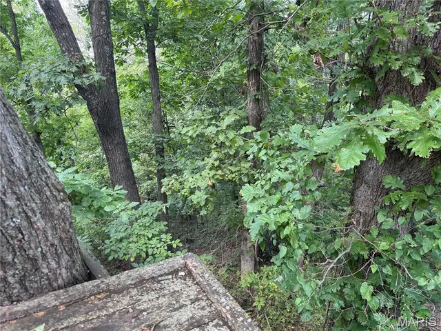 $630,000 | 0 Northeast Ne Corner, Sweet Springs, MO 65351