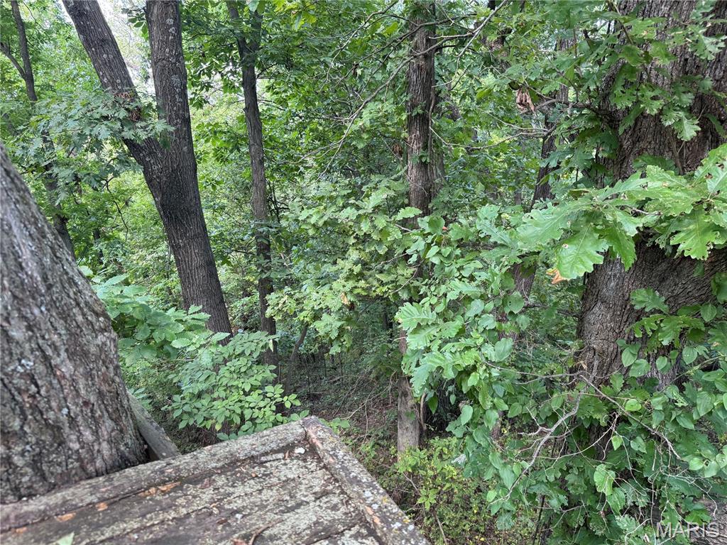 0 Northeast Ne Corner Sweet Springs, MO 65351 - Photo 41 of 97