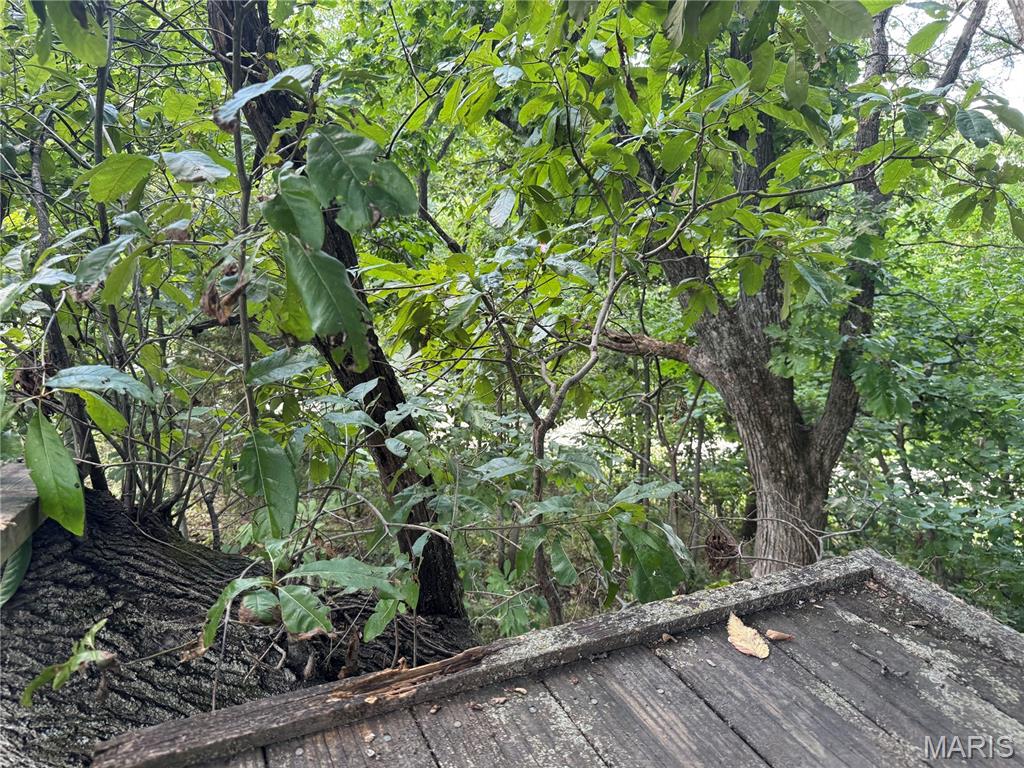 0 Northeast Ne Corner Sweet Springs, MO 65351 - Photo 42 of 97