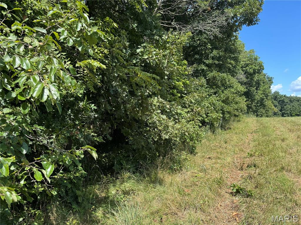 0 Northeast Ne Corner Sweet Springs, MO 65351 - Photo 43 of 97