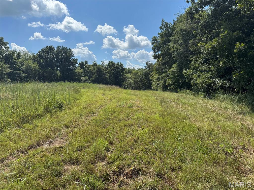 0 Northeast Ne Corner Sweet Springs, MO 65351 - Photo 46 of 97