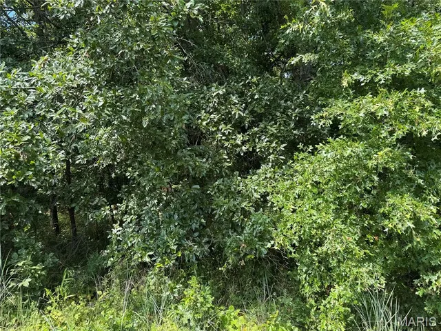 $630,000 | 0 Northeast Ne Corner, Sweet Springs, MO 65351