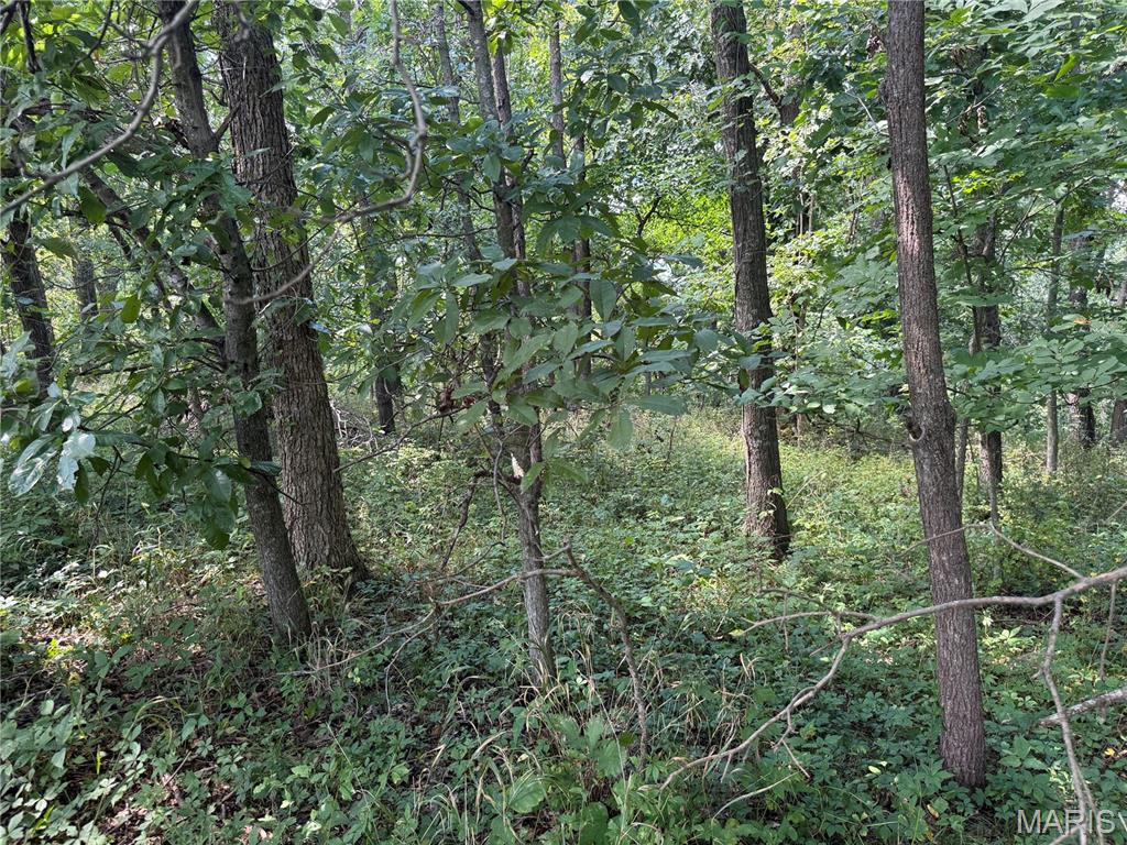 0 Northeast Ne Corner Sweet Springs, MO 65351 - Photo 48 of 97