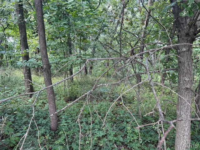 $630,000 | 0 Northeast Ne Corner, Sweet Springs, MO 65351