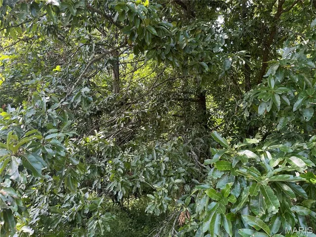 $630,000 | 0 Northeast Ne Corner, Sweet Springs, MO 65351