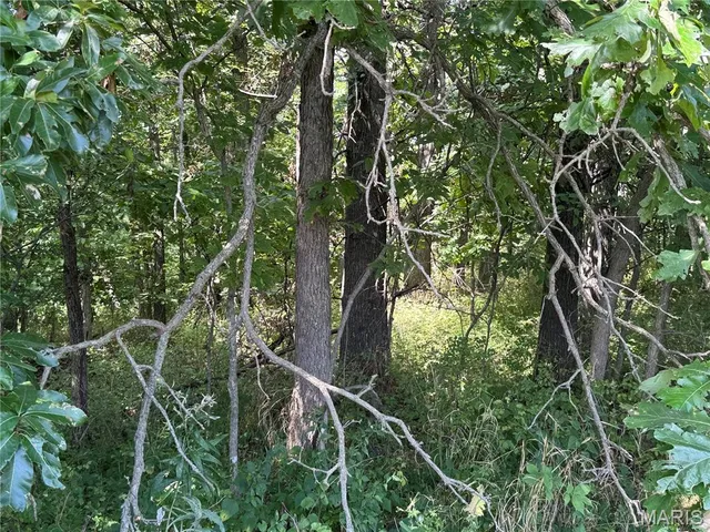 $630,000 | 0 Northeast Ne Corner, Sweet Springs, MO 65351