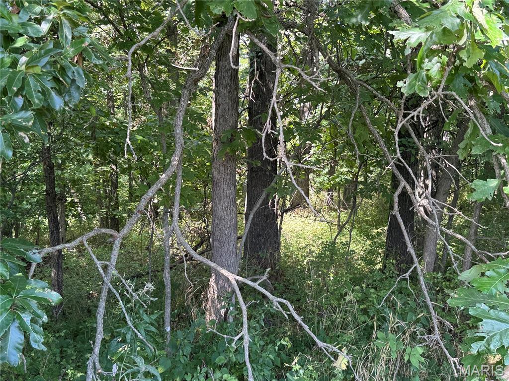 0 Northeast Ne Corner Sweet Springs, MO 65351 - Photo 51 of 97