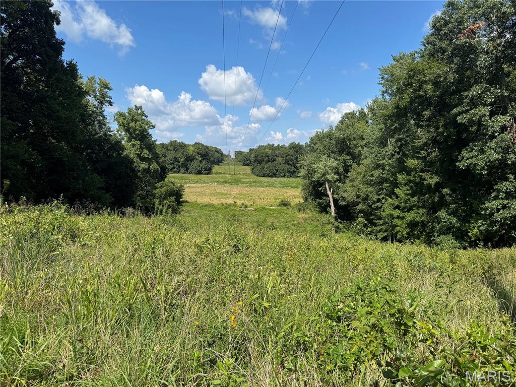 0 Northeast Ne Corner Sweet Springs, MO 65351 - Photo 53 of 97