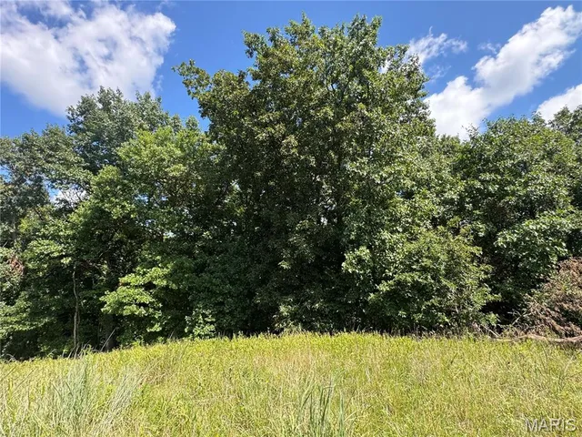 $630,000 | 0 Northeast Ne Corner, Sweet Springs, MO 65351