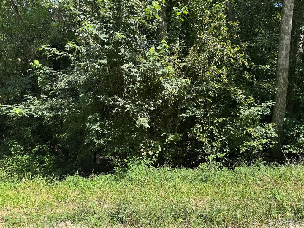 0 Northeast Ne Corner Sweet Springs, MO 65351 - Photo 58 of 97