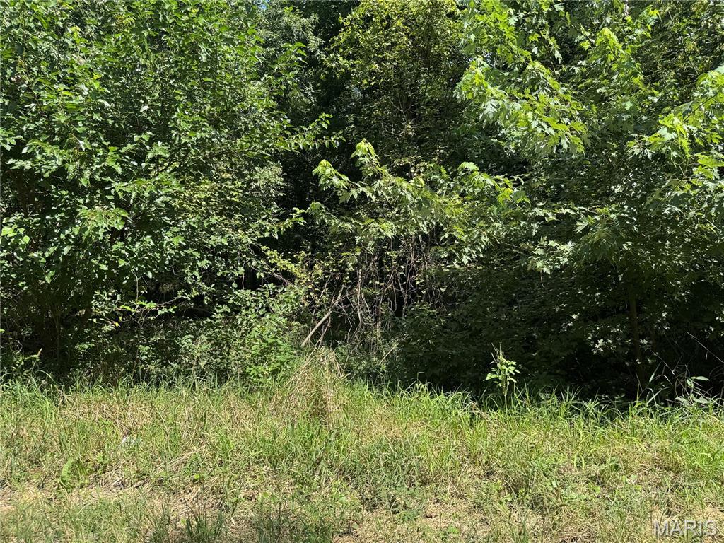 0 Northeast Ne Corner Sweet Springs, MO 65351 - Photo 59 of 97