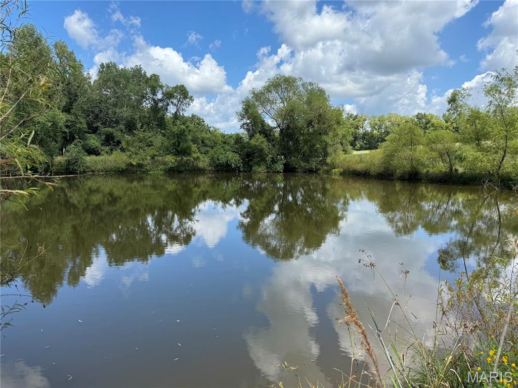 0 Northeast Ne Corner Sweet Springs, MO 65351 - Photo 6 of 97