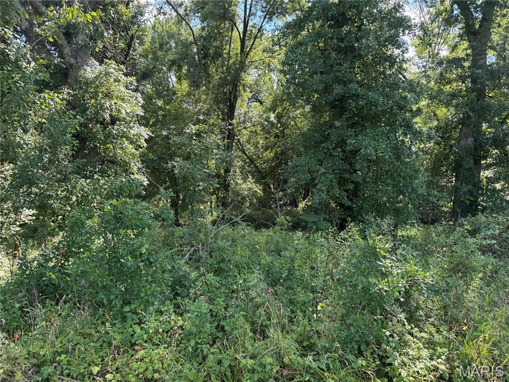 0 Northeast Ne Corner Sweet Springs, MO 65351 - Photo 64 of 97