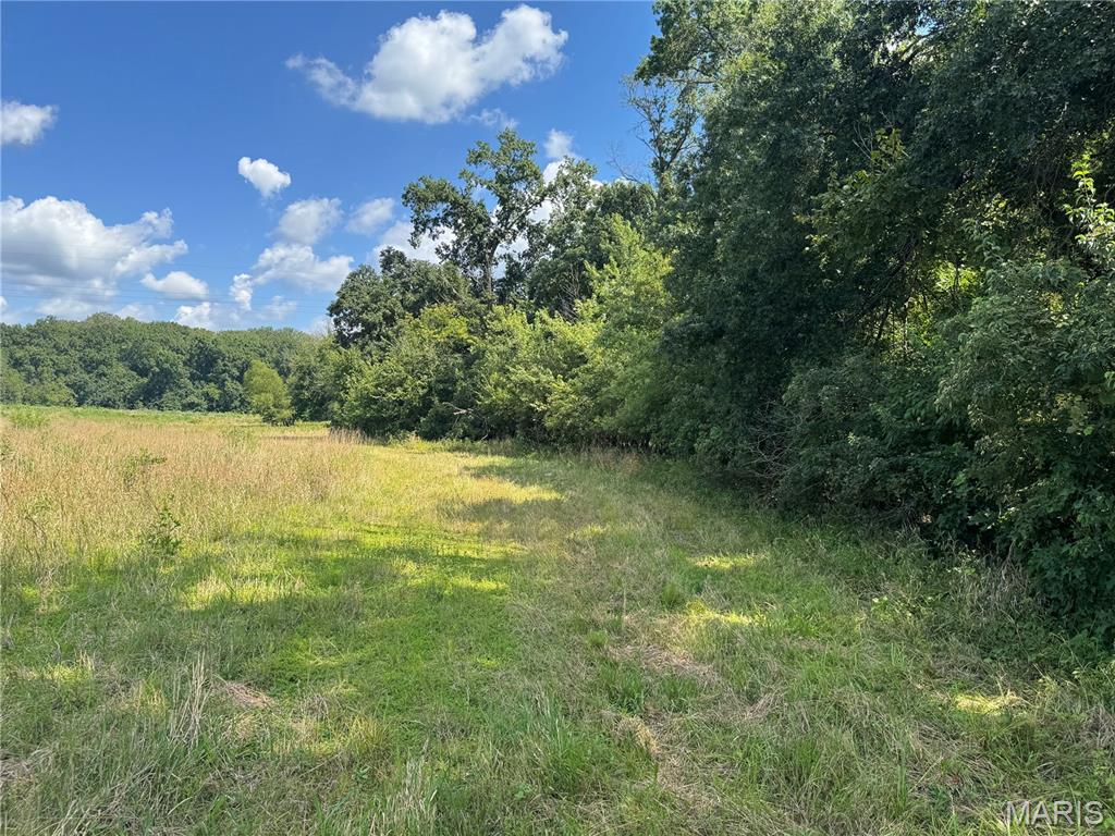 0 Northeast Ne Corner Sweet Springs, MO 65351 - Photo 65 of 97