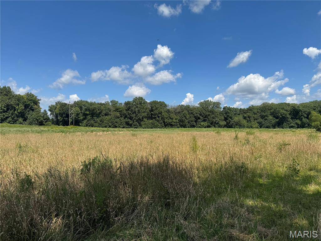 0 Northeast Ne Corner Sweet Springs, MO 65351 - Photo 66 of 97