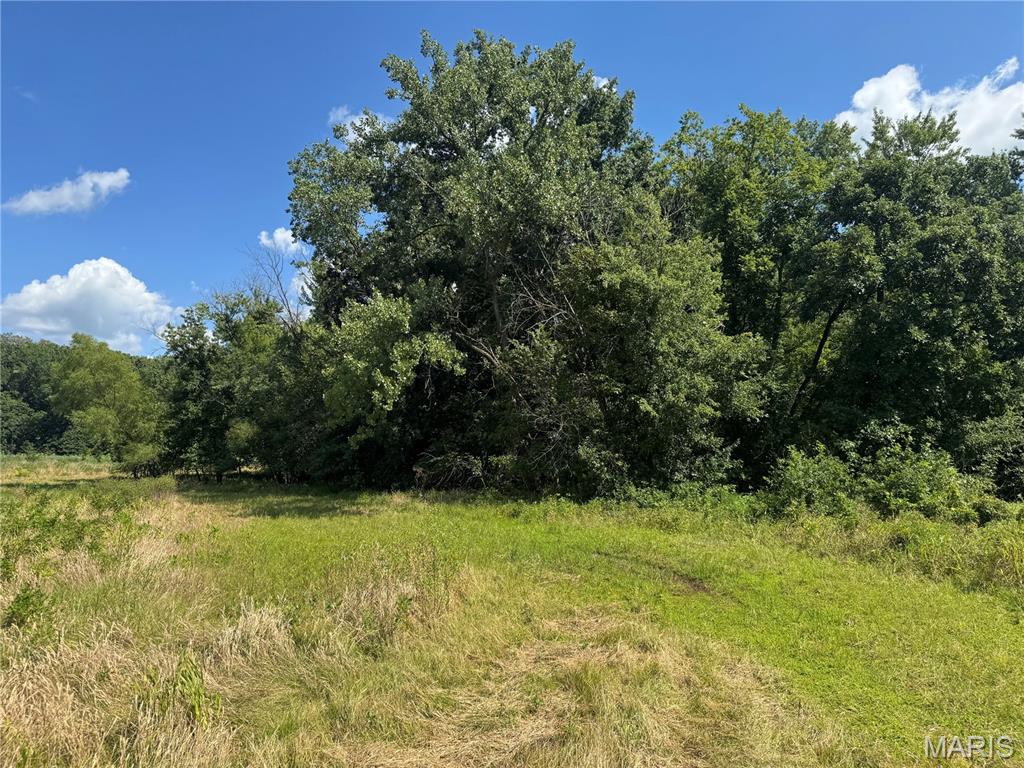 0 Northeast Ne Corner Sweet Springs, MO 65351 - Photo 67 of 97