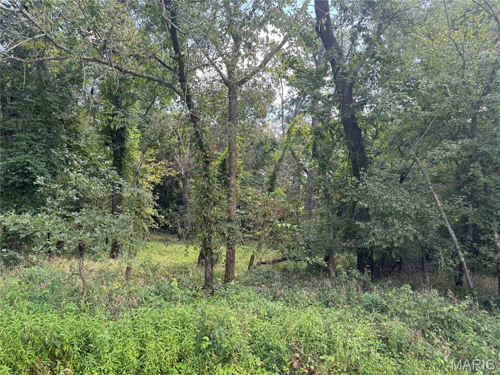 0 Northeast Ne Corner Sweet Springs, MO 65351 - Photo 70 of 97