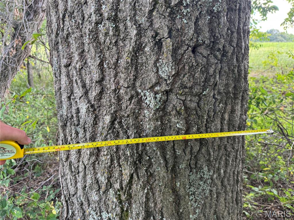 0 Northeast Ne Corner Sweet Springs, MO 65351 - Photo 7 of 97